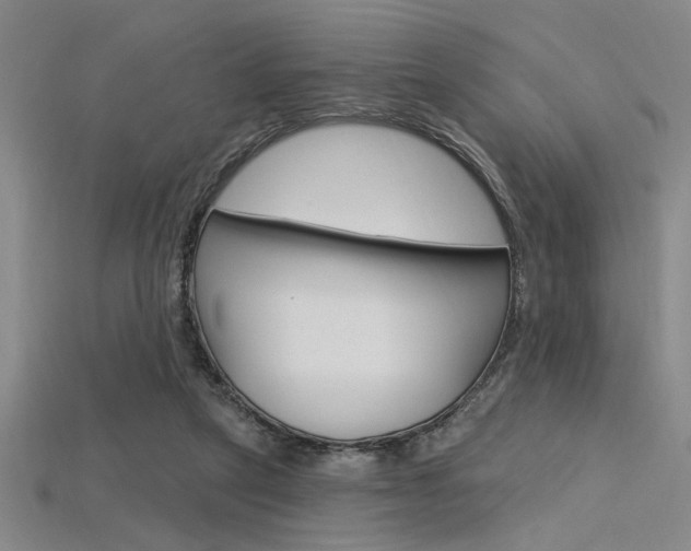 X0000115810257200911131048