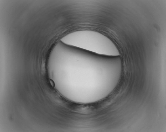 X0000115810267200911131048