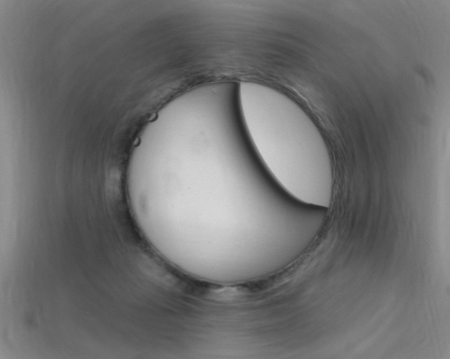 X0000115810269200911131048