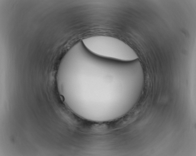 X0000115810271200911131048