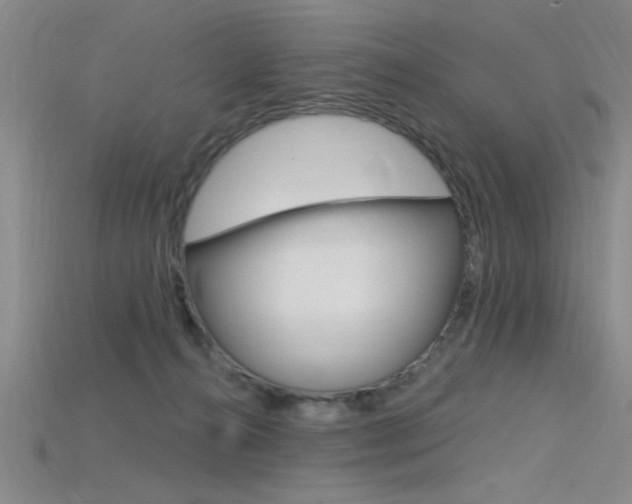 X0000115810272200911131048