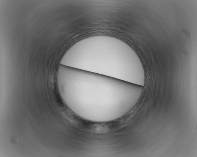 X0000115810275200911131048