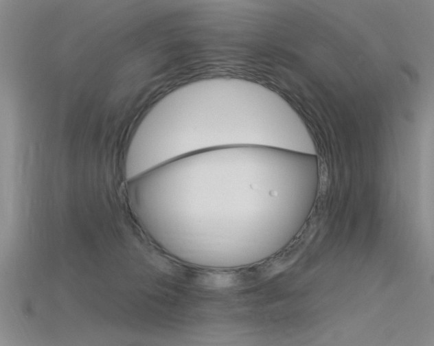 X0000115810276200911131048