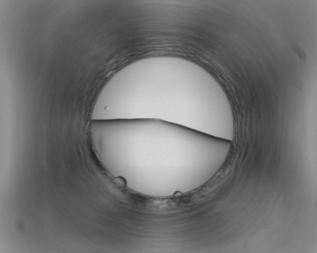 X0000115810277200911131048