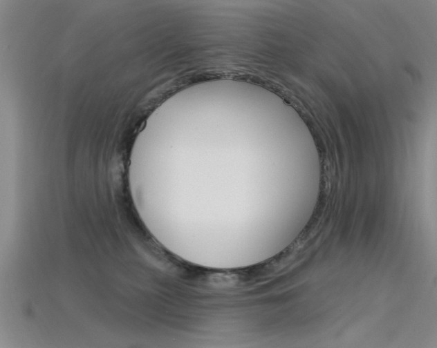 X0000115810279200911131048