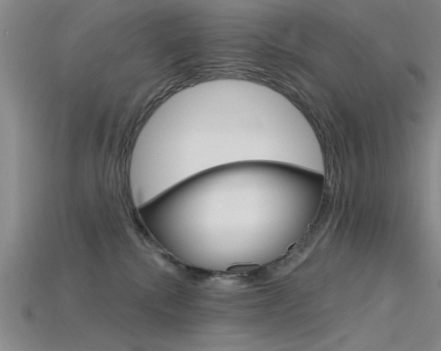 X0000115810280200911131048