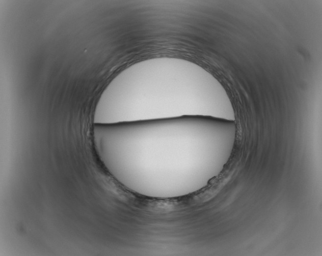 X0000115810282200911131048