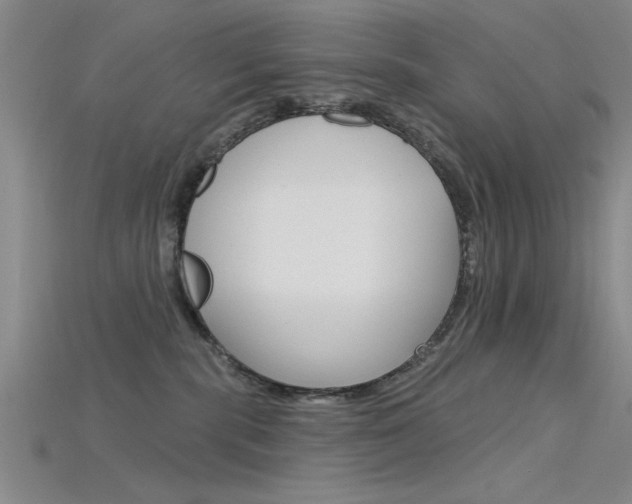 X0000115810283200911131048