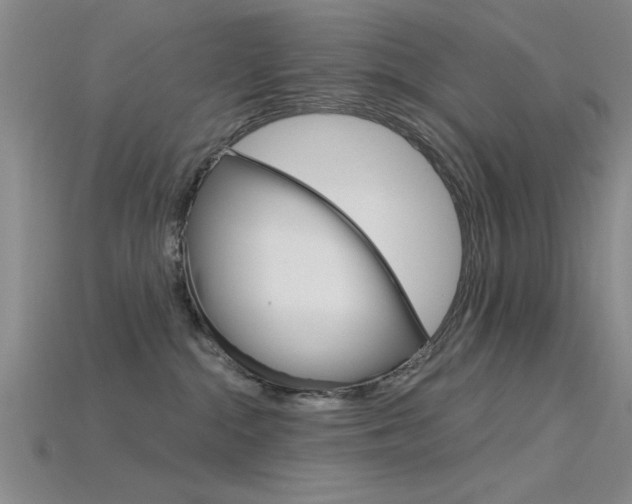X0000115810284200911131048