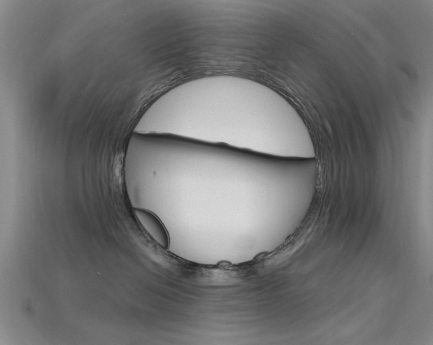 X0000115810286200911131049