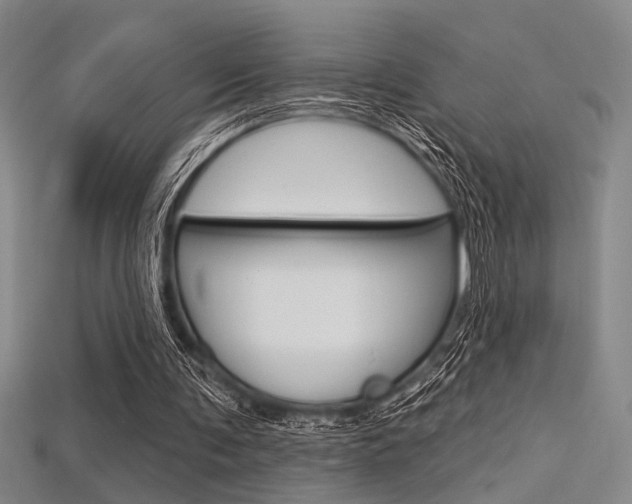 X0000115810291200911131048