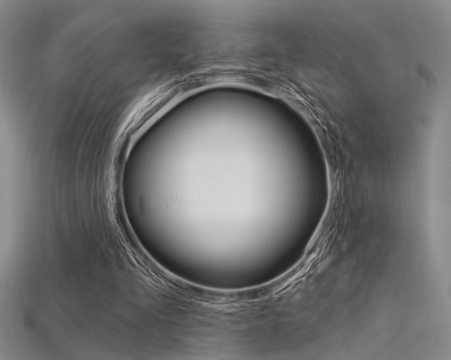 X0000115810293200911131048