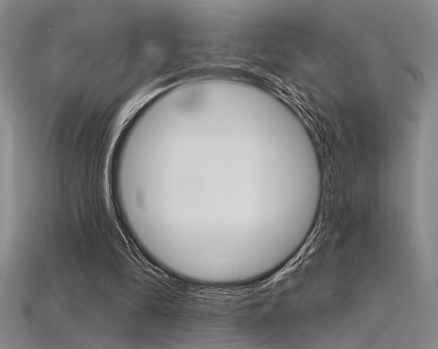 X0000115810294200911131048