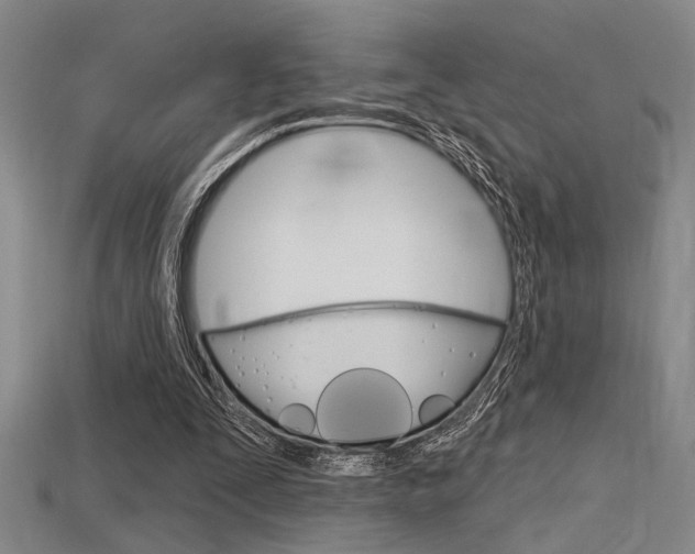 X0000115810295200911131048