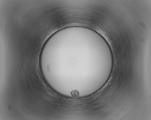 X0000115810297200911131048