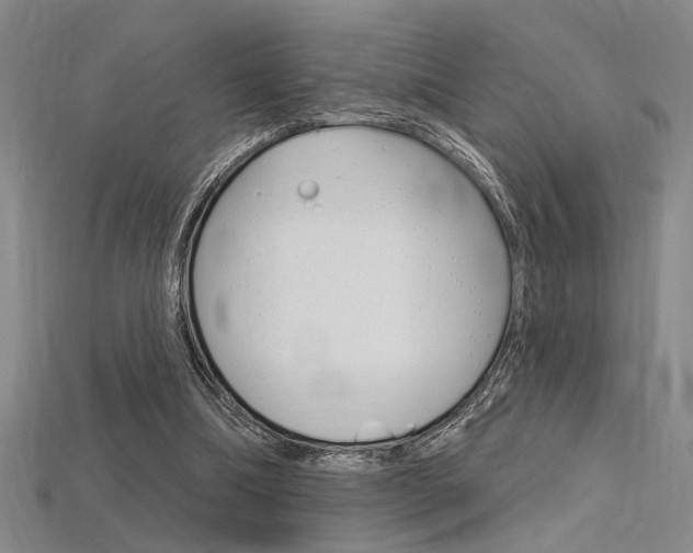 X0000115810298200911131048