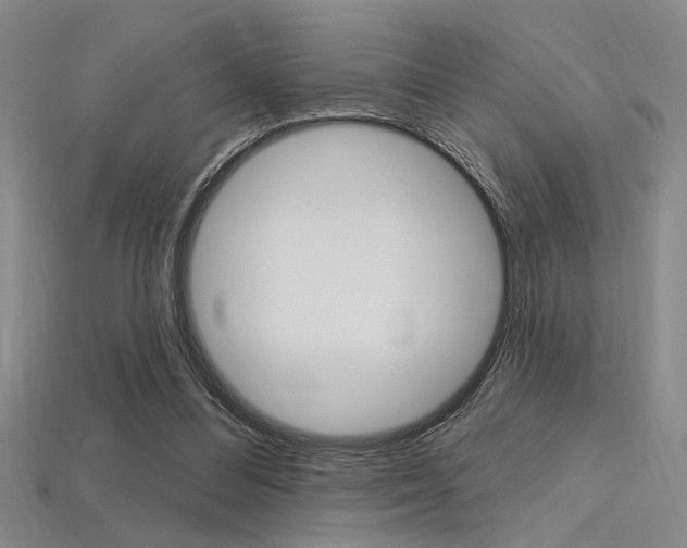 X0000115810300200911131048