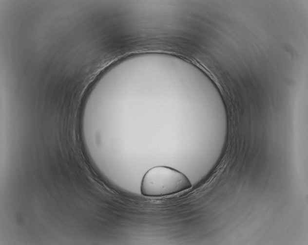 X0000115810301200911131048