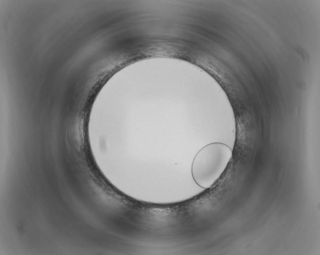 X0000115810302200911131048