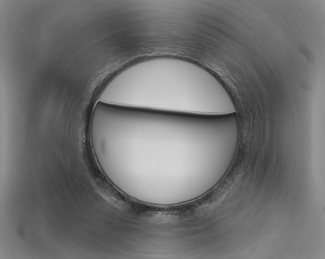 X0000115810303200911131048