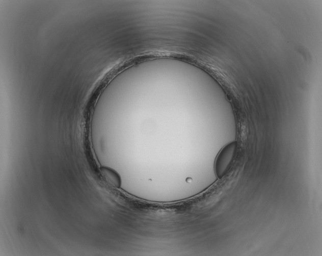 X0000115810304200911131048