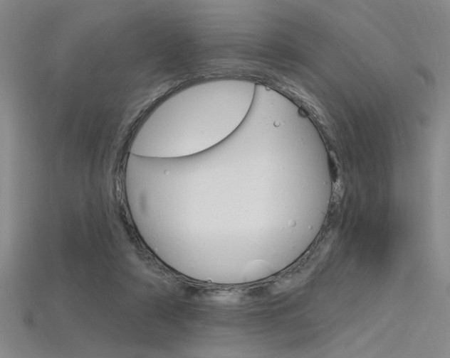 X0000115810306200911131048