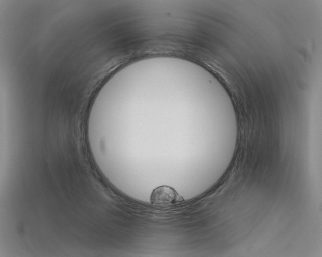 X0000115810309200911131048