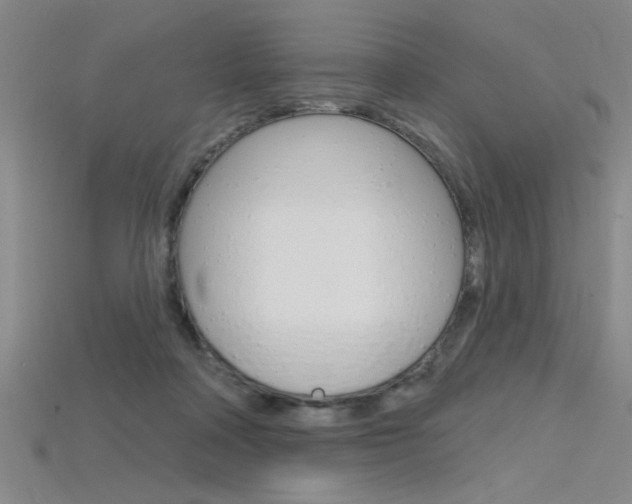 X0000115810314200911131048