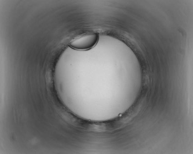 X0000115810317200911131048