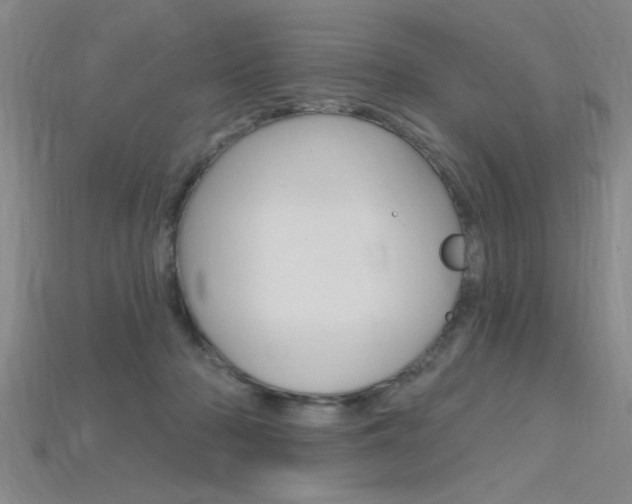 X0000115810318200911131048