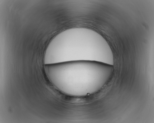 X0000115810319200911131048