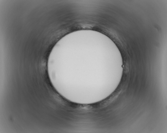 X0000115810321200911131048