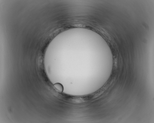 X0000115810322200911131047