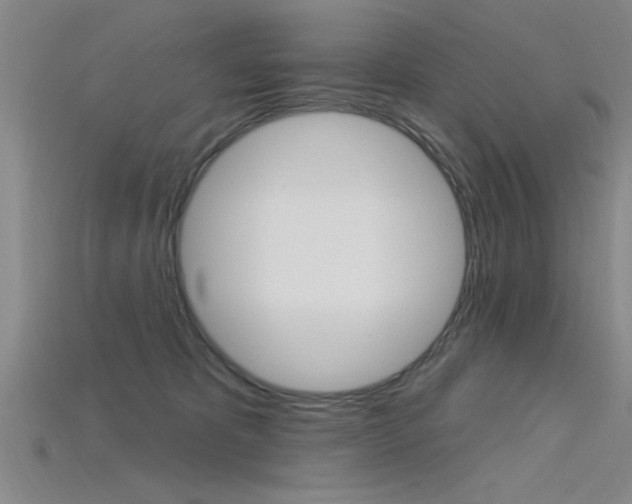 X0000115810325200911131047