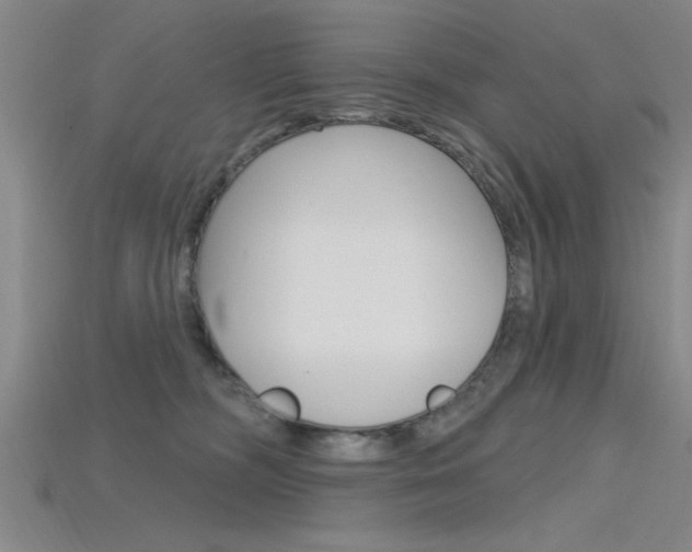 X0000115810326200911131047