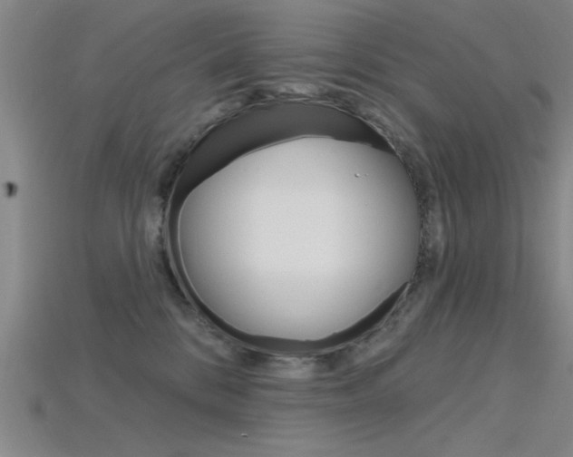X0000115810328200911131047
