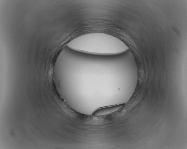 X0000115810329200911131047