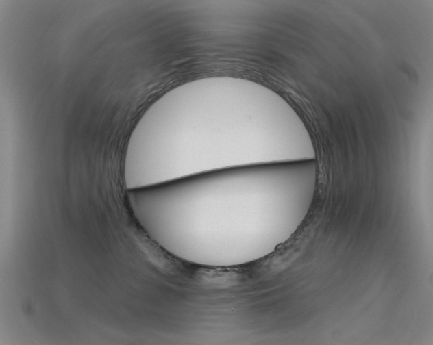 X0000115810331200911131047