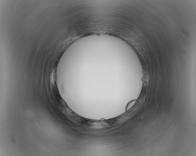 X0000115810334200911131047