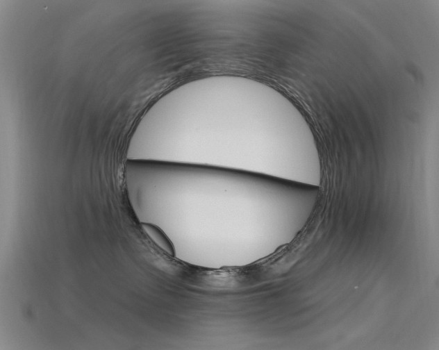 X0000115810335200911131047