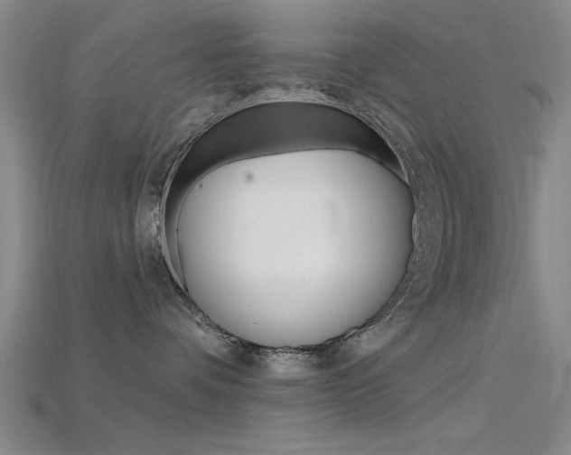 X0000115810336200911131047