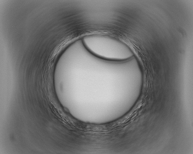 X0000115810337200911131047