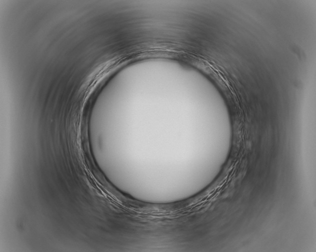 X0000115810338200911131047