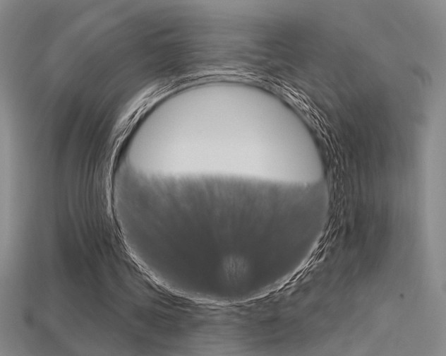 X0000115810339200911131047