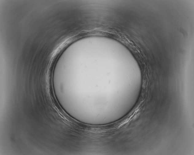 X0000115810341200911131047