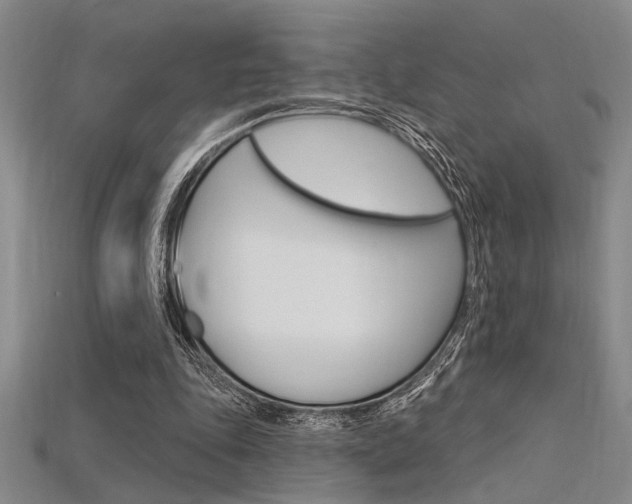 X0000115810343200911131047