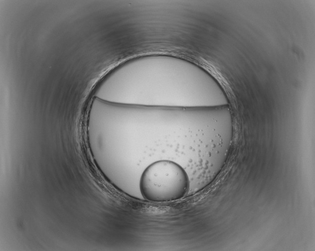 X0000115810346200911131047