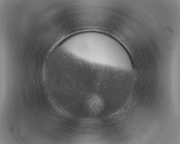 X0000115810347200911131047