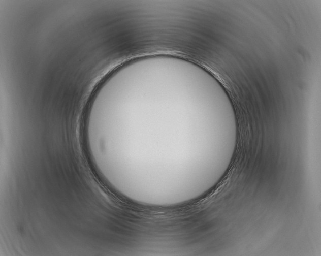 X0000115810350200911131047