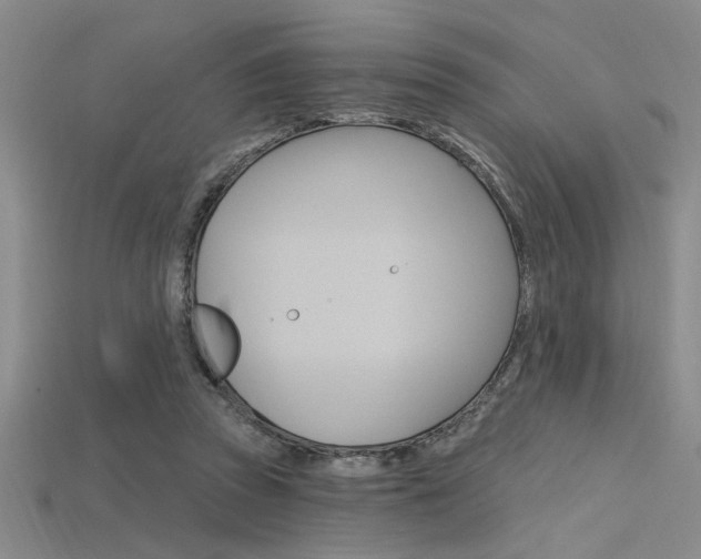 X0000115810353200911131047